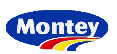 montey logo